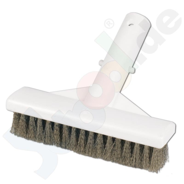 Algenbürste Chromstahl, 125 mm breit, für Betonbecken